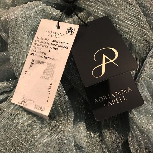 Adrianna Papell Gown  Women's Size 4 Mint Smoke Sheer Long Sleeves NWT - Picture 11 of 11